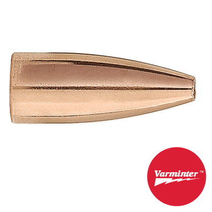 22 CAL 40 GR HP Varminter