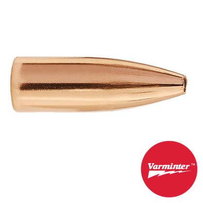 6MM 60 GR HP Varminter