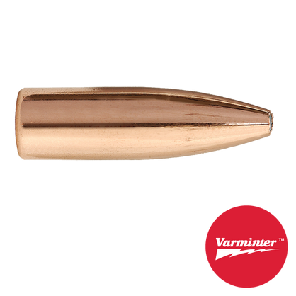 6MM 75 GR HP Varminter