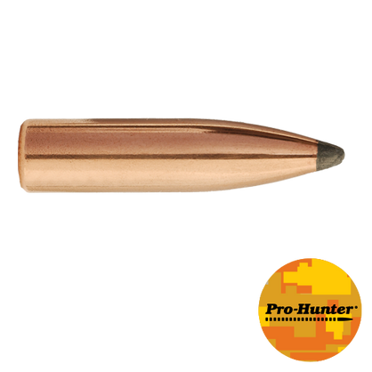 6MM 100 GR SPT Pro-Hunter