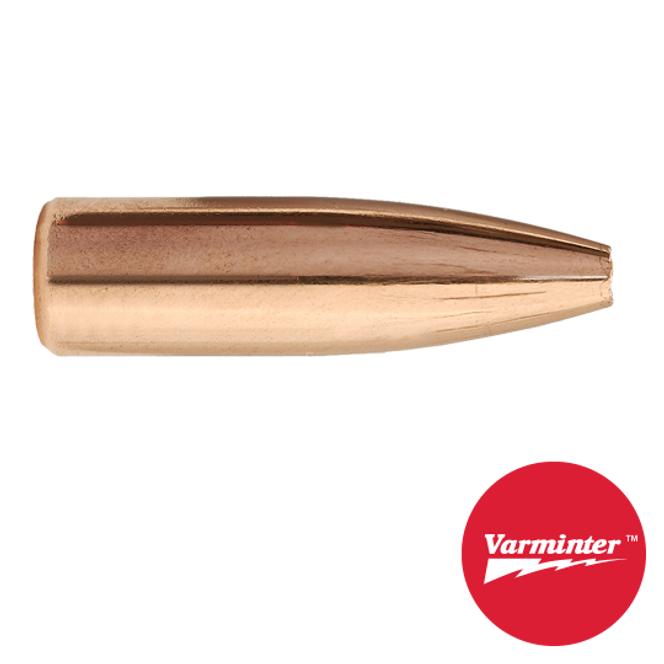 6.5MM 100 GR HP Varminter