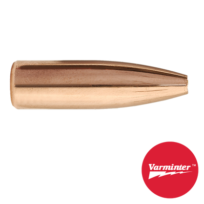 6.5MM 100 GR HP Varminter