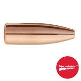 7MM 100 GR HP Varminter