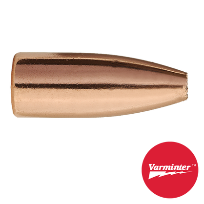 30 CAL 110 GR HP VARMINTER