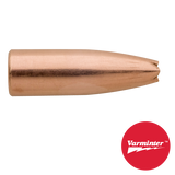 30 CAL 150 GR HP VARMINTER