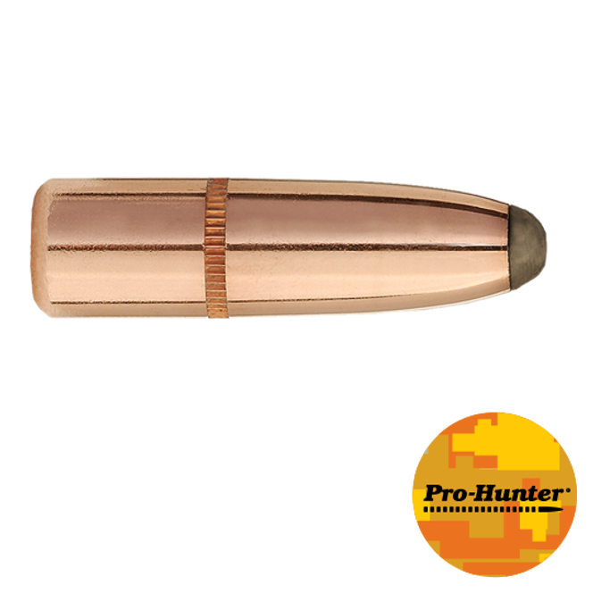 30 CAL 180 GR RN PRO-HUNTER