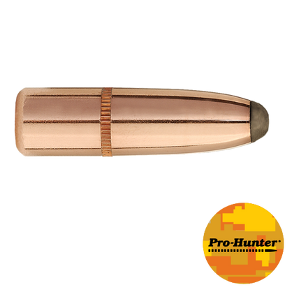 30 CAL 180 GR RN PRO-HUNTER